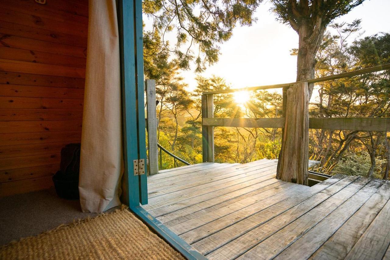 Tui Ridge Villa Aongatete Exterior foto