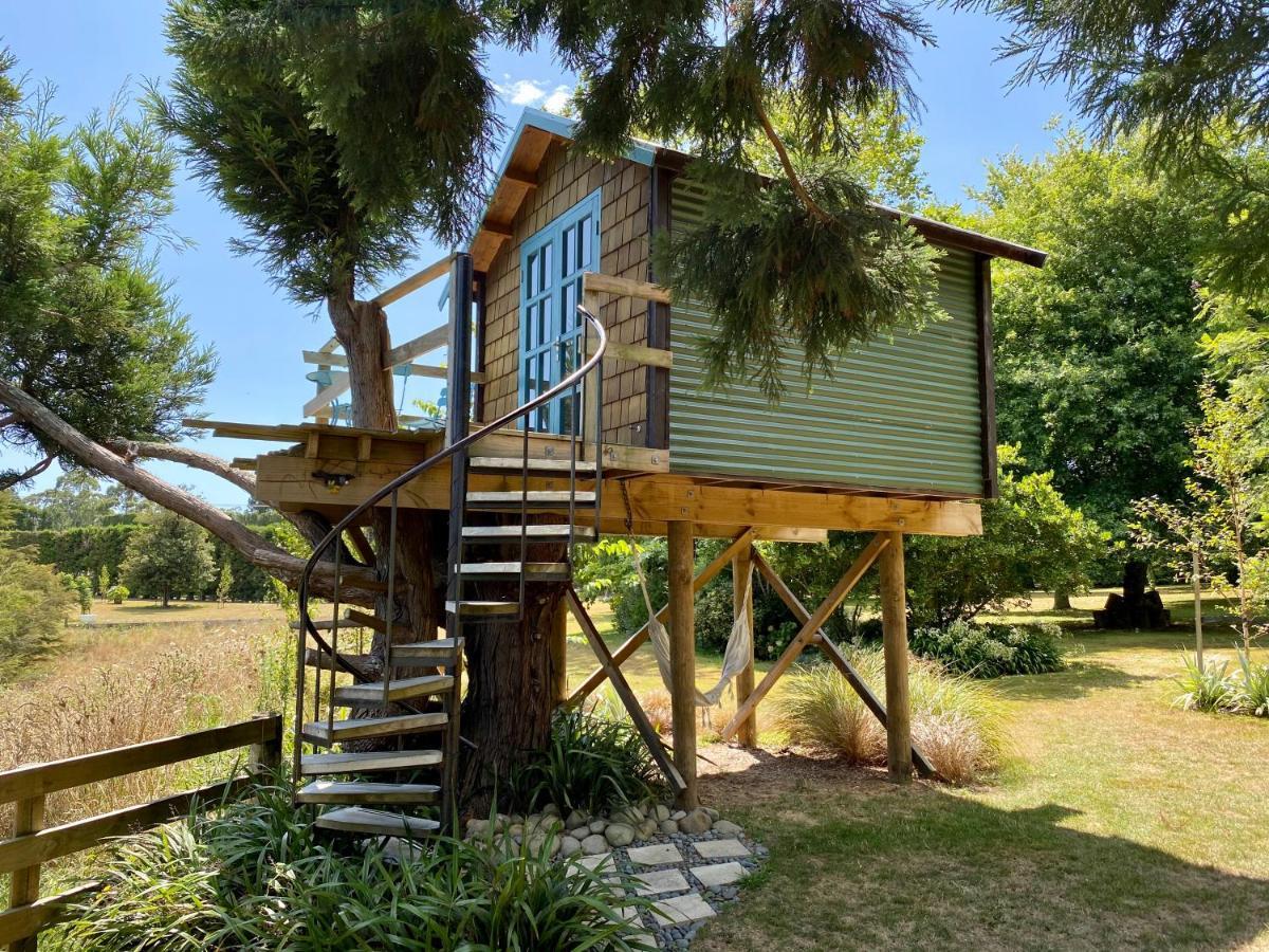 Tui Ridge Villa Aongatete Exterior foto