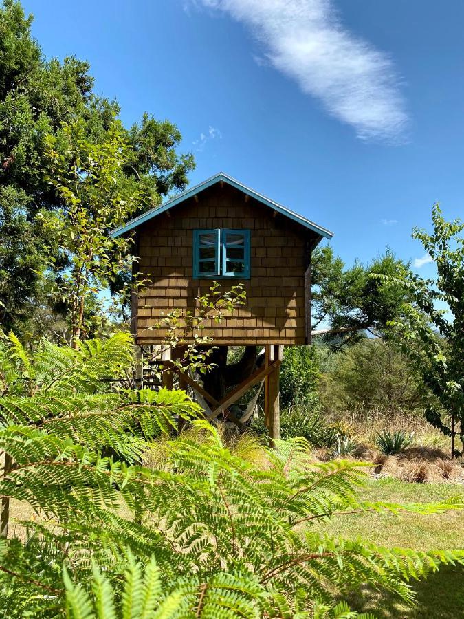 Tui Ridge Villa Aongatete Exterior foto